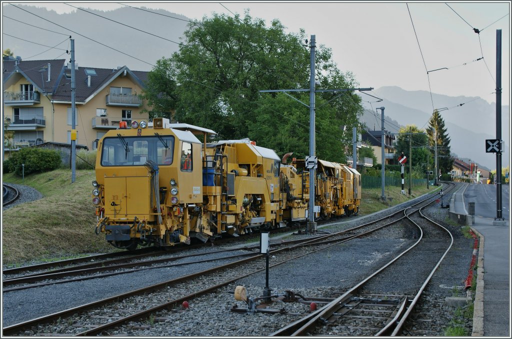 Da im Gegensatz zu mir unserm sehr gesch�tzten Web-Master diese gelben Dinger gefallen, habe exklusiv f�r  hellertal.stratbilder.de  am 2. August 13 meine Kamera aus dem Rucksack gekramt und dieses Bild in Blonay gemacht. 
