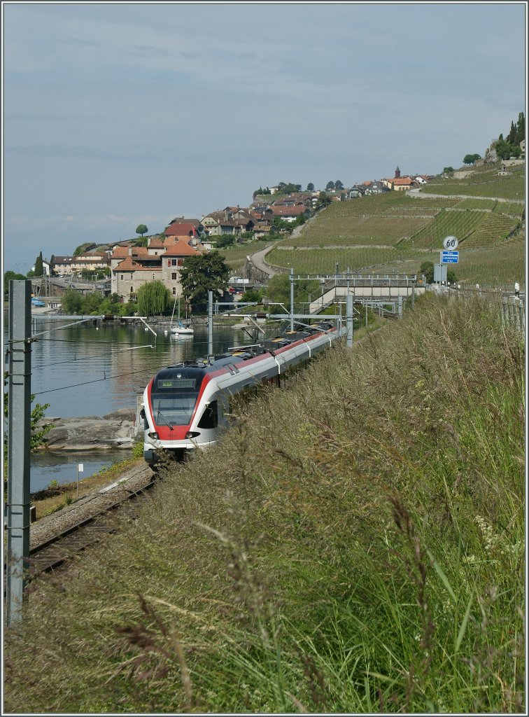 Ganz klar, und mit Absicht,  Motiv verdeckt ;  aber wie sollte sonst der nun einsetzende Wuchs der Vegetation dargestellt werden?
Bei Rivaz, am 27. Mai 2013