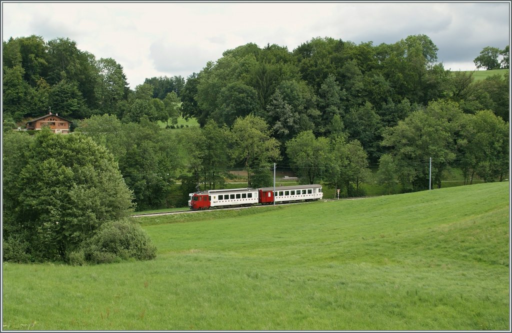 TPF Regionalzug Richtung Montbovon kurz vor Ch�tel St-Denis.
12. Juli 2012
