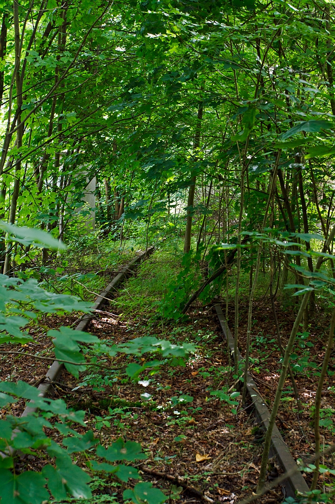 Zwischen Herdorf und dem Ortsteil Sassenroth, neben der KBS 462 (Hellertalbahn) bei km 87,8 befindet sich das ehemalige Anschlussgleis zur ehem. Fa. Kr�mer, mittlerweile wachsen schon die B�ume durchs Gleis. Die Weiche an der Hellertalbahn ist auch schon lange ausgebaut.Aufgenommen am 30.07.2012.
