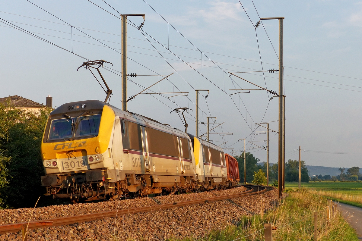 . Der G�terzug - Als wir uns schon auf dem R�ckweg nach Mersch befanden, gab das Signal �berraschender Weise die Strecke frei und so konnte ich in den letzten Sonnenstrahlen des 01.08.2014 den einzigen G�terzug, der wochentags auf der Nordstrecke verkehrt, in extremis noch ablichten. Es handelt sich um einen leeren Kohlezug von Sibelin in der N�he von Lyon (F) nach Born (NL). Zwischen Hagondange (F) und Vis� (B) wird er von zwei CFL 3000er im Dienste der CFL Cargo gezogen. Die 3019 und die 3011 hatten gestern diese Aufgabe �bernommen und bef�rderten die leeren G�terwagen �ber die Nordstrecke in der N�he von Berschbach/Mersch. (Jeanny)