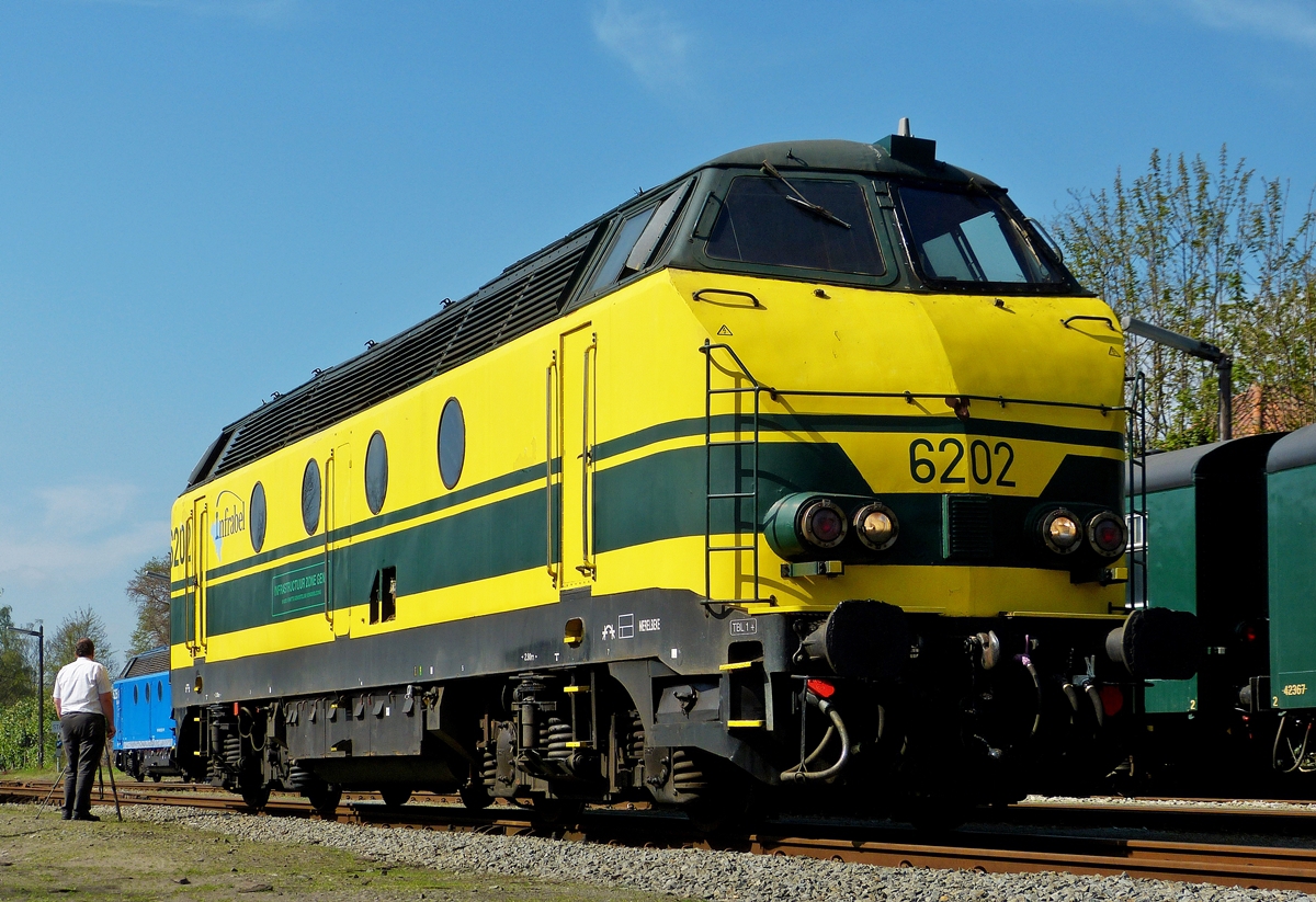 . Die HLD 6202 pr�sentierte sich der Fotografin am 05.04.2014 zur Portraitaufnahme im Bahnhof von Langerbrugge.

Insgesamt wurden von der Baureihe 62 zwischen 1961 und 1966 136 Maschinen (inklusive drei Vorserienmaschinen) bei Cockerill-Ougree in Seraing gebaut. Nach verschiedenen Abg�ngen sind heute noch 107 Maschinen dieses Typs im Einsatz. Bei der Baureihe 62 handelt es sich um eine leichtere, vierachsige Version der sechsachsigen Baureihe 55.

Zun�chst wurden die 16,79 m langen Lokomotiven als Baureihe 212 ausgeliefert, wurden jedoch im Jahr 1971 in die Baureihe 62 umgezeichnet. Da die belgische Numerierung nur eine Anzahl von 100 Lokomotiven zul��t wurden die �berz�hligen Maschinen fortlaufend als 6300 bis 6333 und 6391-6393 bezeichnet. 

Angetrieben werden die vierachsigen Lokomotiven von einem 12-Zylinder V-Motor von General Motors. Der Antrieb erfolgt dieselelektrisch auf vier elektrische Fahrmotoren, die ebenfalls von GM hergestellt wurden.

Ausgeliefert wurden die Maschinen in einer gr�nen Lackierung mit gelben Streifen und nur zwei Stirnleuchten. Zwischenzeitlich wurden alle Loks mit einer dritten Stirnleuchte ausgestattet. Ab 1979 wurden die Fahrzeuge umlackiert. In der neuen gelben Lackierung, mit gr�nen Streifen sind die Loks heute noch anzutreffen.


In der Region war die Baureihe 62 vor grenz�berschreitenden Z�gen zwischen Belgien und Aachen-West anzutreffen h�ufig im Jahr 2003 nach Abstellung der Baureihe 51 anzutreffen. Sie bef�rderte bei diesen Eins�tzen ausschlie�lich G�terz�ge. Nach und nach sind diese Eins�tze zur�ckgegangen, bis die Baureihe letztlich nicht mehr in Aachen gesichtet werden konnte. Mit Ausnahme der 6330 werden alle Loks der Baureihe 62/63 nur noch im Arbeitszugdienst eingesetzt.

Technische Daten:

Baujahre: 1961-1966
Hersteller: BN (Brugeoise & Nivelles)
Anzahl: 136
Motorentyp: GM 12-567C
Spurweite: 1435 mm (Normalspur)
Dauerleistung: 	1050 kW
H�chstgeschwindigkeit: 120 km/h
Dienstgewicht: 	80,0 t
L�nge: 	16,79 m
Breite: 2,9 m
H�he: 4,25 m
Treibraddurchmesser: 1010 mm
Achsfolge: Bo'Bo'

