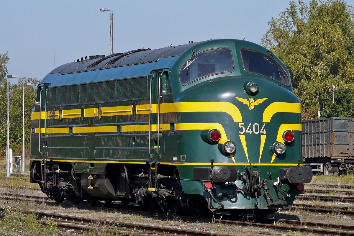 . Die SNCB HLD 5404 sonnte sich am 27.09.2009 in Mariembourg auf dem Gel�nde der Museumsbahn Chemin de Fer � Vapeur des Trois Vall�es (CFV3V). (Hans)