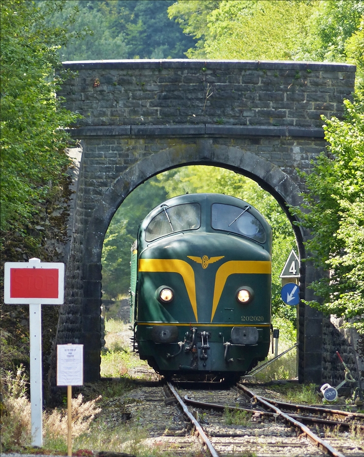 . Diesellok 202020 mit ihrem Zug unter der Br�cke nahe Dorinne-Durnal, auf der Ligne du Boq des PFT.  14.08.2017  (Jeanny)