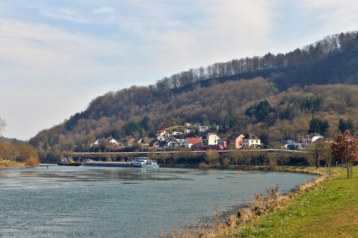 . Ein unerkannt gebliebener Baby Hamster bef�hrt am 17.03.2015 die Obermoselstrecke (KBS 692) und wird bald die Haltestelle Oberbillig erreichen, w�hrend auf der Mosel reger Schiffsverkehr herrscht. (Jeanny)