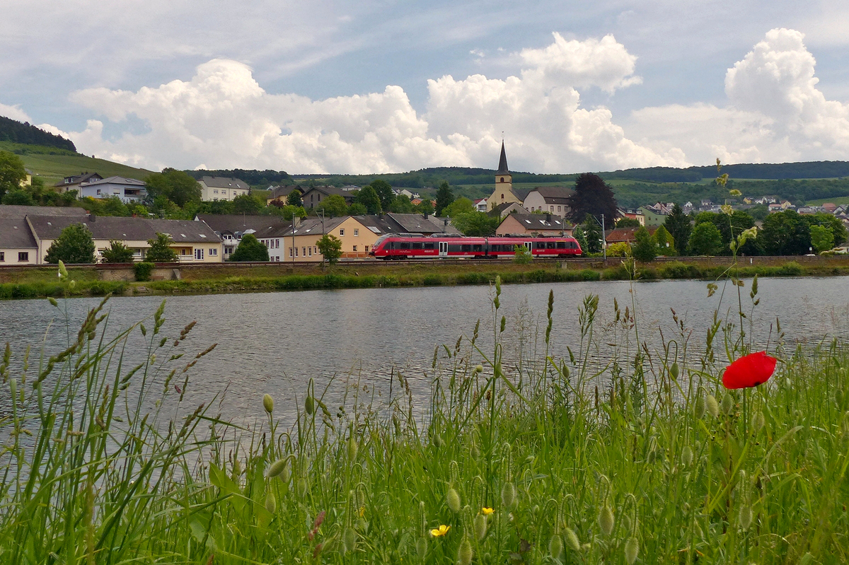 . Gewitterstimmung an der Mosel - W�hrend sich auf der deutschen Seite der Mosel dicke Gewitterwolken bildeten, zeigten sich in Machtum am luxemburgischen Ufer die ersten Bl�ten, als der zweiteilige Triebzug der BR 442 durch den beschaulischen Moselort Nittel in Richtung Trier fuhr. 28.05.2016 (Jeanny)