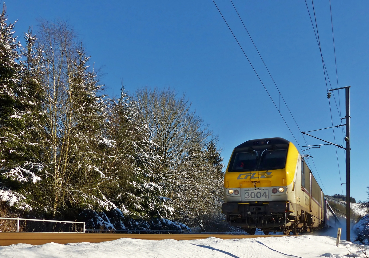 . Komplizierte Fotostelle - Der Wanderweg entlang der Nordstrecke zwischen Maulusm�hle und Troisvierges erm�glicht leider nur die Z�ge von der Schattenseite abzulichten. Es gibt aber einen Fu�g�nger Bahn�bergang (PN 48), um auf die andere Seite zu gelangen, doch leider steht man dort sofort in der recht steilen B�schung, welche zum Fl�sschen Woltz hinunterf�hrt. Aus dieser recht unbequemen (aber sicheren) Position gelang es mir dank dem Klappdisplay an meiner Kamera den IC 113 Luxembourg - Liers, gezogen von der 3004 doch noch zu fotografieren. Nachdem der Zug vorbei war, h�tte die Fotografin auch als Schneemann durchgehen k�nnen. ;-)  28.12.2014 (Jeanny) 