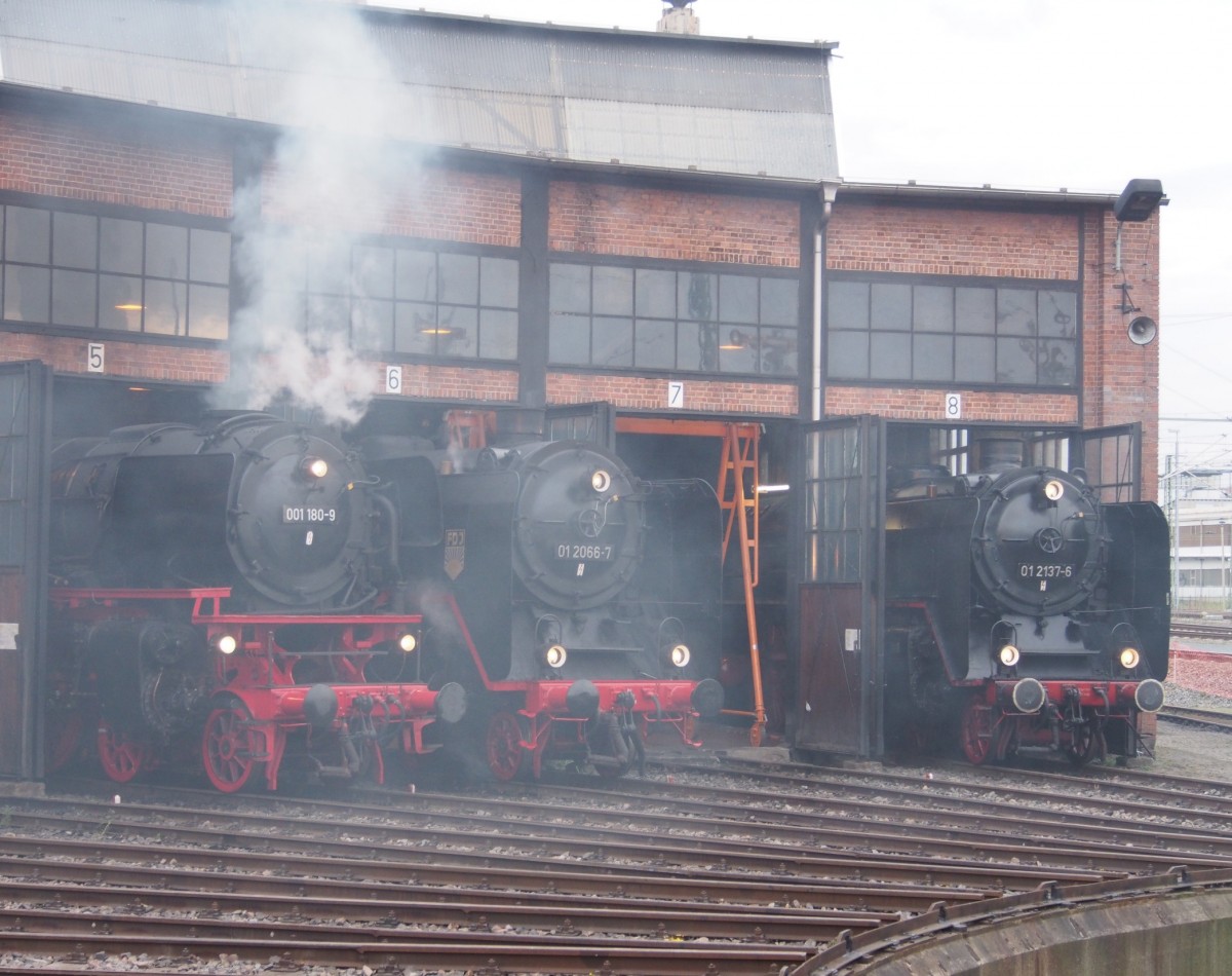 001 180-0, 01 2066-1 und 01 2137-6 im Ringlokschuppen des Bw Dresden am 17.04.2015 beim 7. Dresdner Dampfloktreffen.