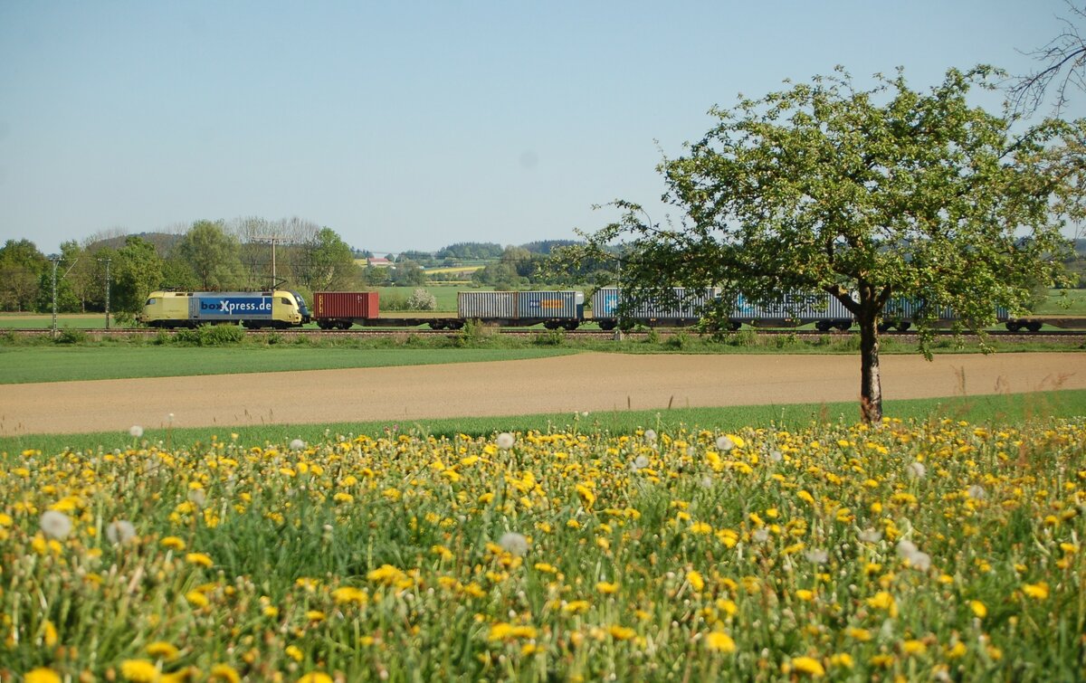 182 Box Dispo-Lok von Siemens in Neu-Ulm Pfuhl am 07.05.2009.