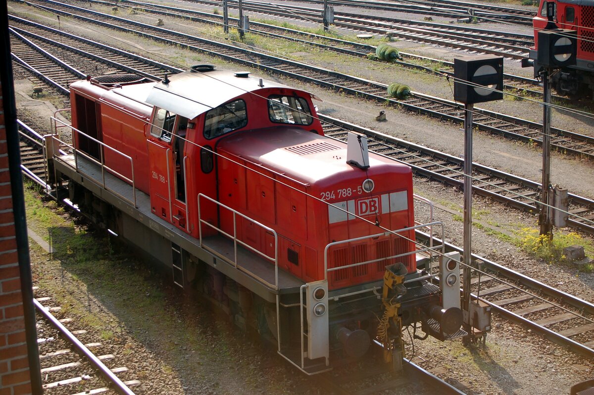 294 788-5 in Ulm am 10.05.2006.