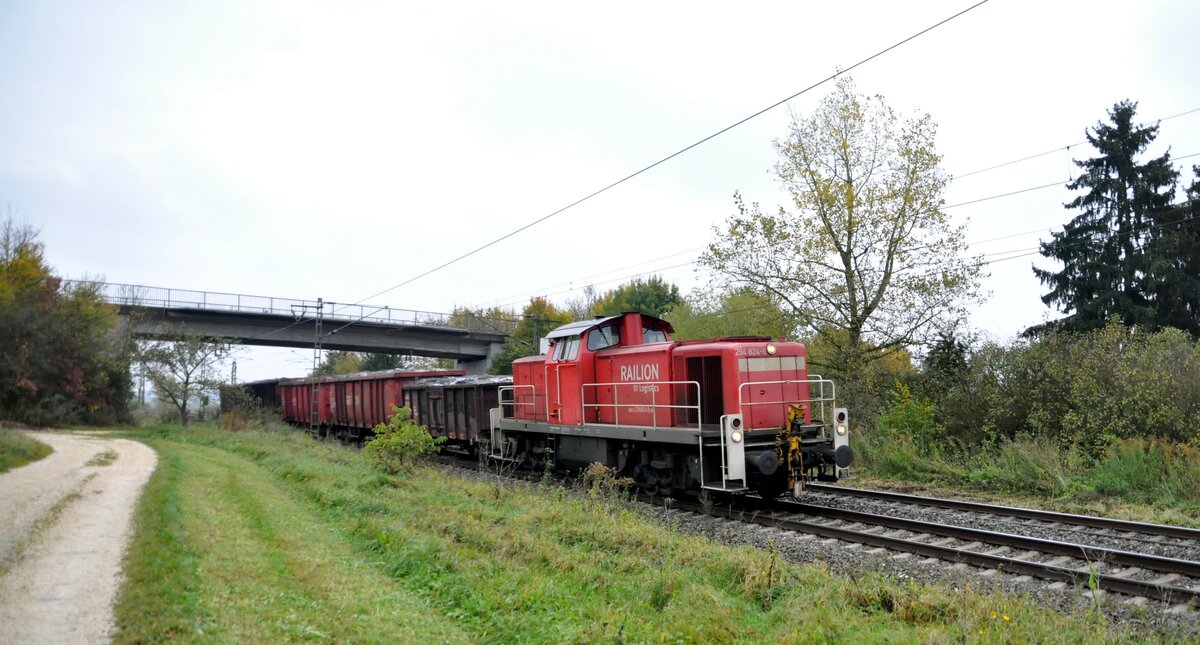 294 824-8 bei Neu-Ulm Pfuhl am 18.10.2010.