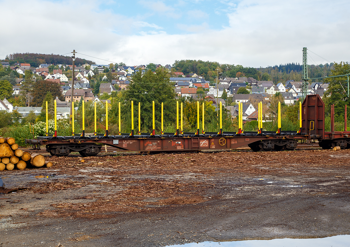 
4-achsiger Drehgestell-Containertragwagen 31 80 4543 024-2 D-DB der Gattung Sgns 681 der DB Cargo AG abgestellt am 30.09.2020 in Scheuerfeld (Sieg). Hier mit einem Rungen-Traggestell für den Holztransport.

TECHNISCHE DATEN:
Spurweite: 1.435 mm
Länge über Puffer: 19.740 mm
Drehzapfenabstand: 14.200 mm
Radsatzstand in den Drehgestellen: 1.800 mm
Ladelänge: 18.400 mm
Höhe der Ladeebene für Container über S.O.: 1.155 mm
Drehgestell-Bauart: 629.4 - Y25 Lsd
Raddurchmesser: 920 mm (neu) / 860 mm (abgenutzt
Eigengewicht: 18.900 kg (ohne Ladegestell)
Max. Zuladung bei Lastgrenze S: 71 t (ab Streckenklasse D)
Max. Geschwindigkeit: 100 km/h (leer 120 km/h)
Max. Radsatzlast: 20 t
Bremse: KE-GP-A
Bremssohle: K-Sohle, Cosid 810
Handbremse: 	Fbr
Kleinster bef. Gleisbogenradius: 75 m
Intern. Verwendungsfähigkeit: TEN GE
