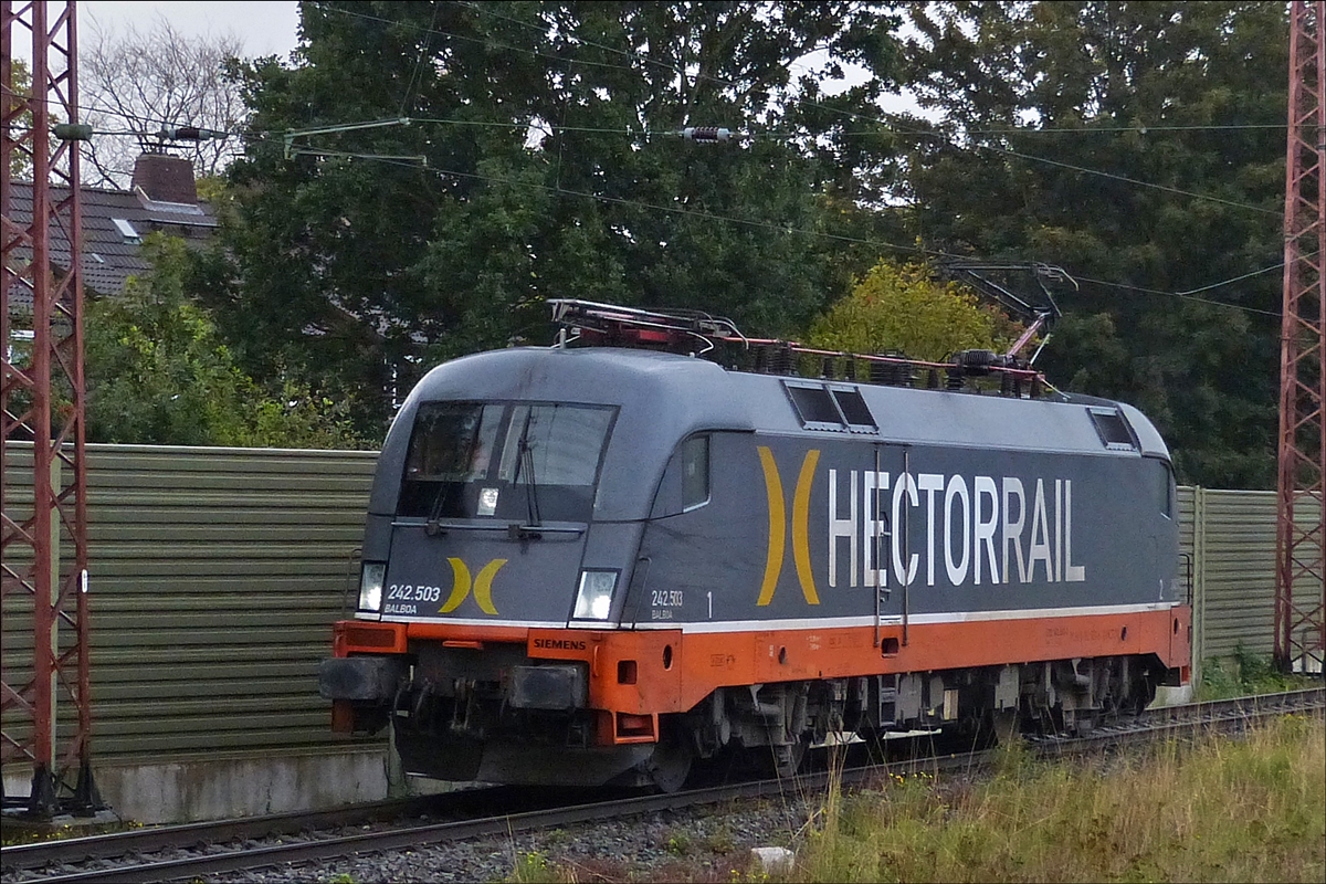 Als Lokzug durchf�hrt Hector Rail Lok 242 503 den Bahnhof von Bremerhaven auf dem G�terzuggleis. 17.09.2019 (Hans)