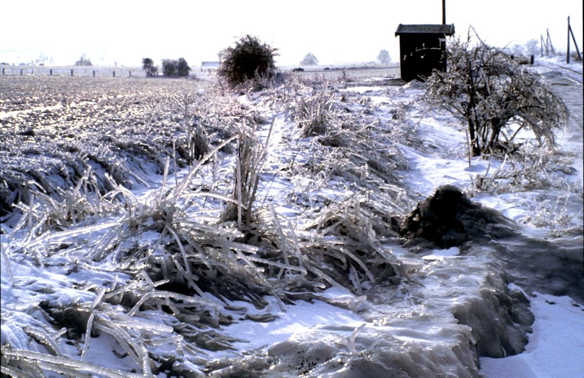 Aufgrund der heutigen Wintersituation, möchte ich die damals heftigere und länger anhaltende Situation zeigen: die Strecke der Hersfelder Kreisbahn bei Hatting am 09.03.1987. Die dünnen Grashalme sind mit eine relativ dicken Eisschicht überzogen.