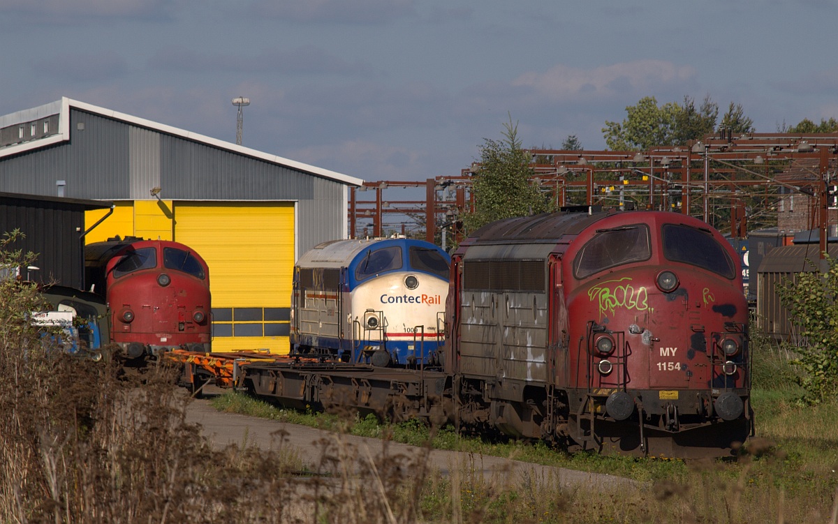 Bei bestem Wetter konnten am 1.10.2010 einige der in Padborg abgestellten Mx und My Dieselloks vor der Contec Werkstatt fotografiert werden(öffentlich zugänglicher Fotostandort).