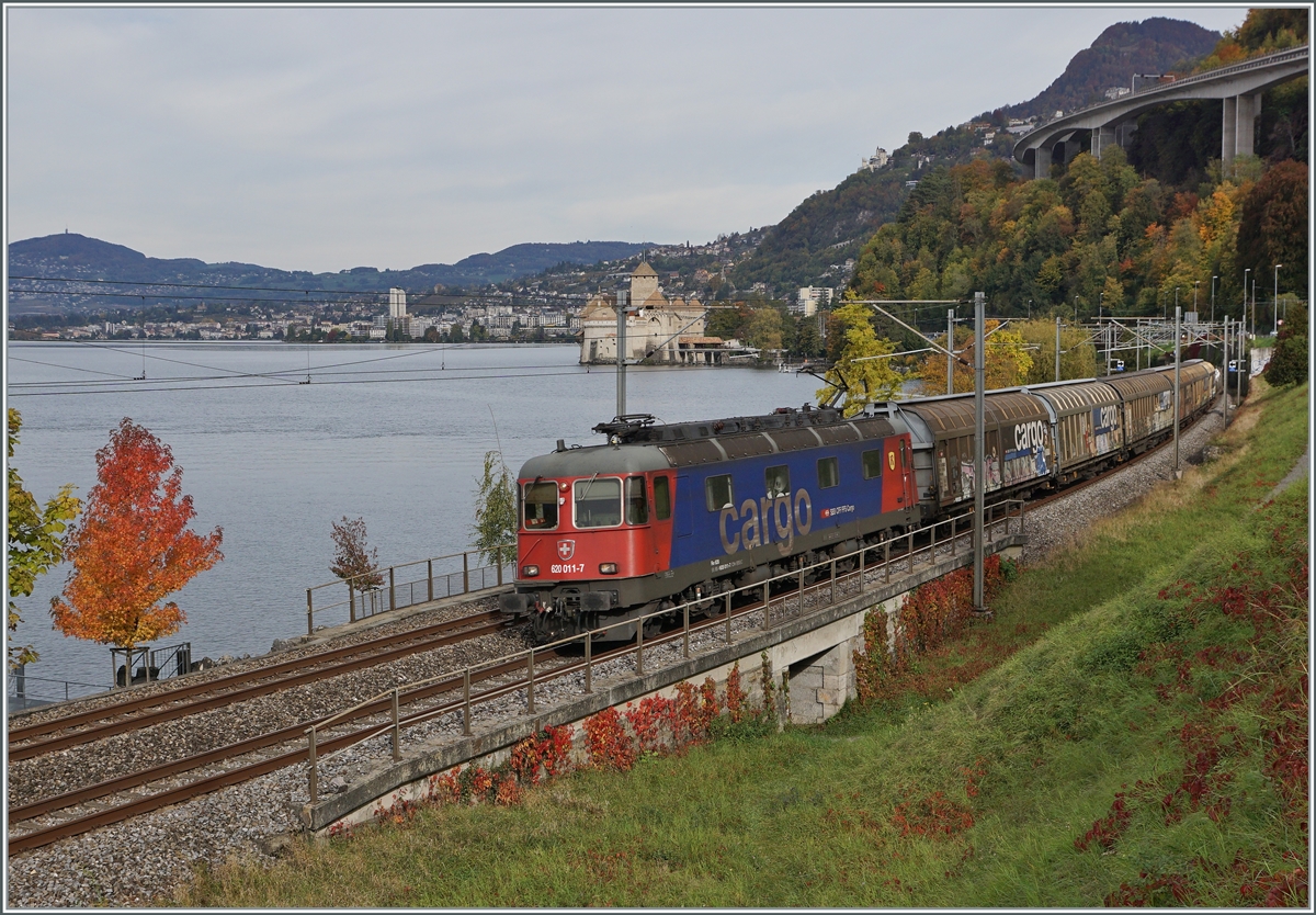 Bei einem eher  schlechten  Licht zeigt sich die SBB Re 6/6 11611 (Re 620 011-7)  Rüti ZH  in bunten Herbst beim Château de Chillon auf dem Weg in Richtung Wallis.

20. Okt. 2020