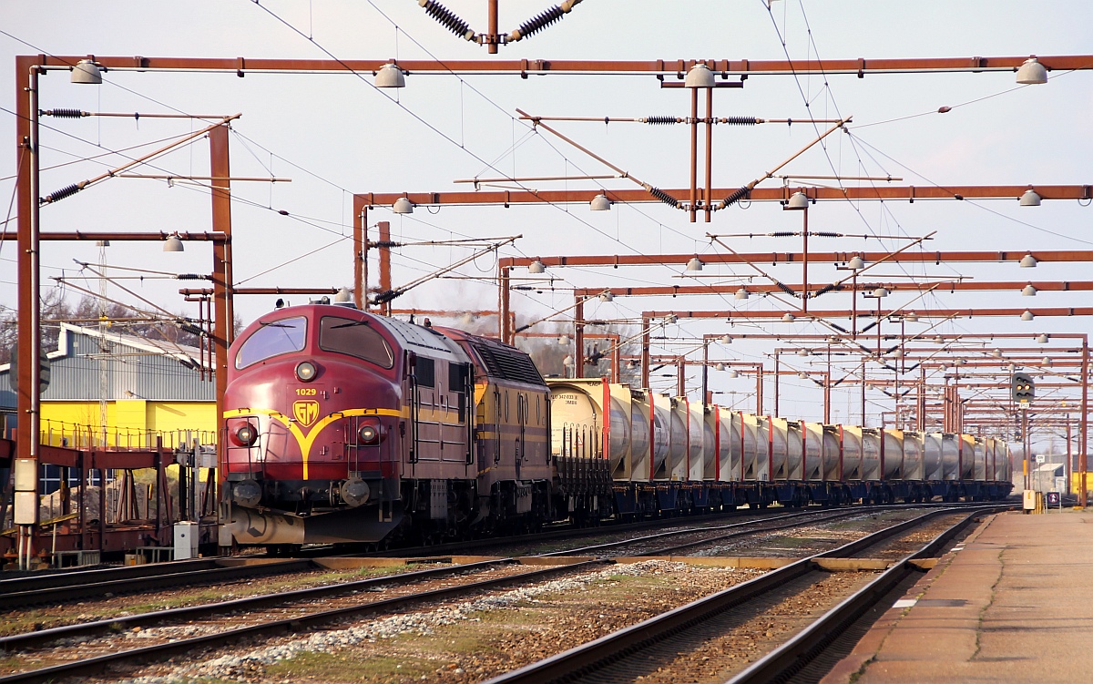 CFL Cargo MX 1029 und dahinter der  Booster  CFL Cargo 1805-1 haben hier mit einem irre langen Güterzug(zweiteilig),vorne der Zementzug nach Deuna,hinten der Bedarfszug nach Lippstadt(Papier)Einfahrt in den Grenzbahnhof Padborg. 27.02.2014
