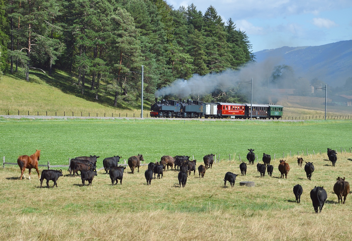 CP 164 und CP 206 in Doppeltraktion (die Bezeichnung Vorspann wird dort nicht verwendet). Hier in Orange war nicht nur ich beeindruckt, die Rindviecher waren sehr interessiert an dem Schauspiel. Und ohne Pferdchen geht es im Jura nicht, selbst ihm war nicht klar, dass Pferde Fluchttiere sind. Hier steigt die Strecke von Tavannes nach Tramelan recht steil an, denn es gilt die Hochebene der Freiberge zu erklimmen. Orange, August 2016.