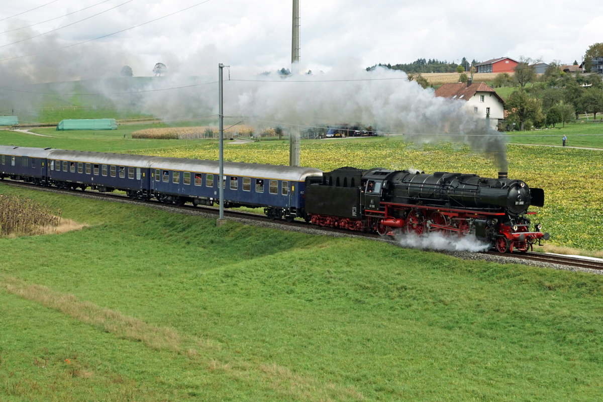 Dampflokomotive Pacific 01 202.
Kleine Dreiseenrundfahrt ab Lyss mit der unermüdlichen 01 202.
Der imposante Sonderzug mit sechs Wagen bei Kallnach am 11. Oktober 2020.
Foto: Walter Ruetsch
 