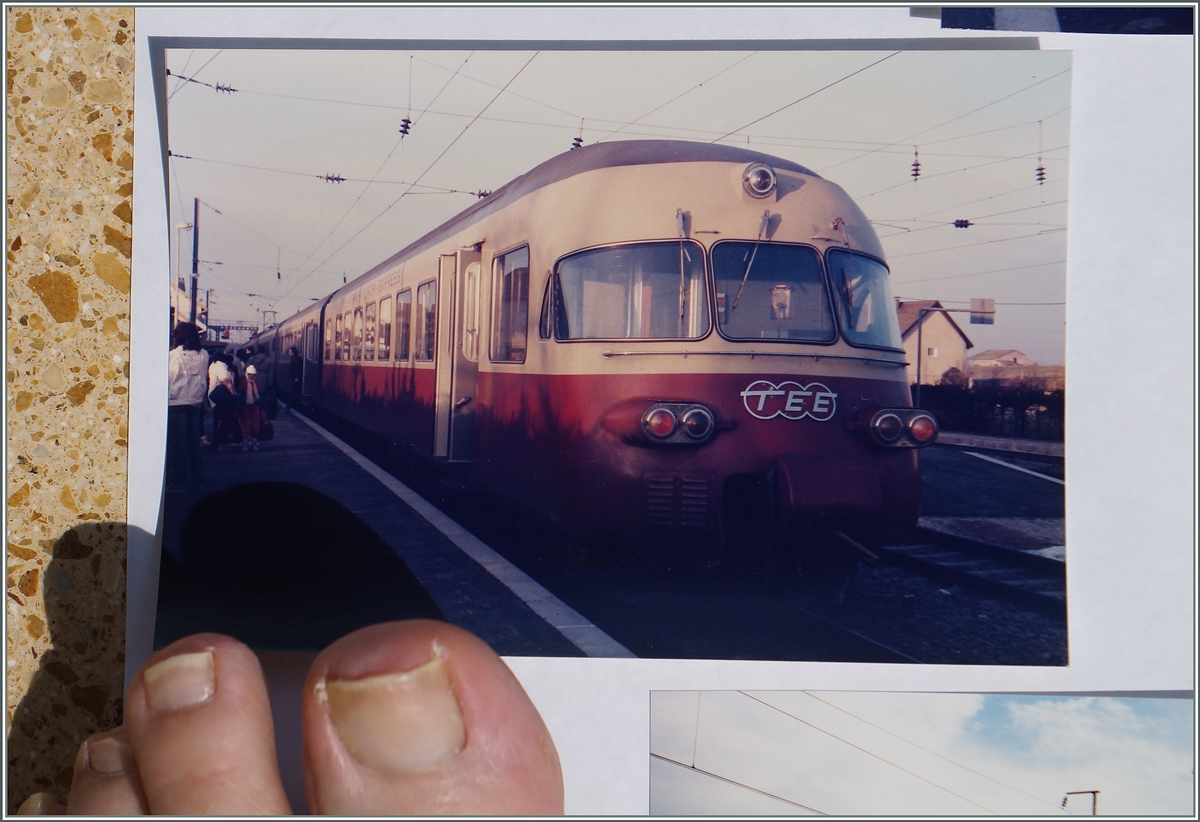 Das fotogarfieren von Foto ist etwas umständlich, neben einem Fotoapparat braucht es Sonne, möglichst keinen Wind und einen Fuss, um das Blatt festzuhalten...
23.7.15