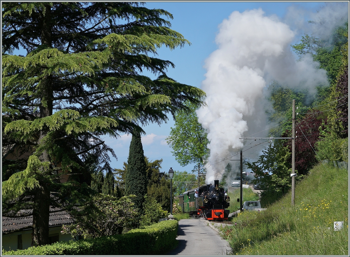 Den dritten Tag wollte ich etwas ruhiger angehen, und mich einigen, wenigen Streckenbildern widmen. leider war  meine  Fotostelle bei der Hippschen Wenderscheibe schon besetzt, so dass ich mich etwas weiter hinten aufstellte und so die G 2x 2/2 105 bei erst bei Kilometer 6.5 fotografieren konnte...
(16.5.16)