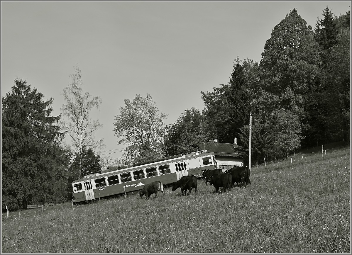 Der BDhe 2/4 74 als Regionalzug 1376 kurz vor Fayaux.
(11.05.2015)