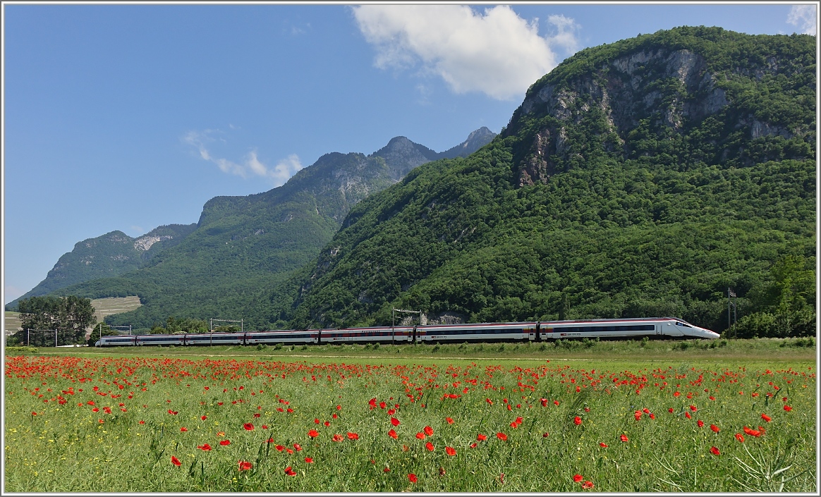 Der EC 32 ist keine Rarität, das Mohnblumenfeld hierzulande dagegen schon. Beides zusammen ergibt dieses Bild.
(27.05.2015)
