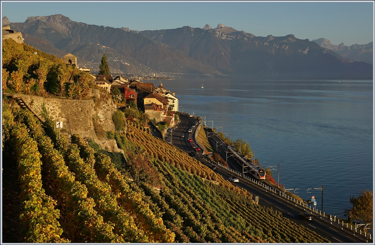Der Flirt am See ist in dieser Herbstlandschaft bei St-Saphorin kaum zu sehen...
16. Okt. 2017
