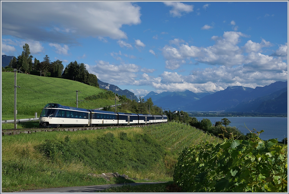 Der  neue  MOB Golden Pass Panoramic RE 2229 von Zweimmen nach Montreux mit der Ge 4/4 8001 an der Spitze zeigt sich bei Planchamp mit dem Ast 151 als Abschluss im Abendlicht in den Weinbergen oberhalb von Montreux.

29. Juni 2020