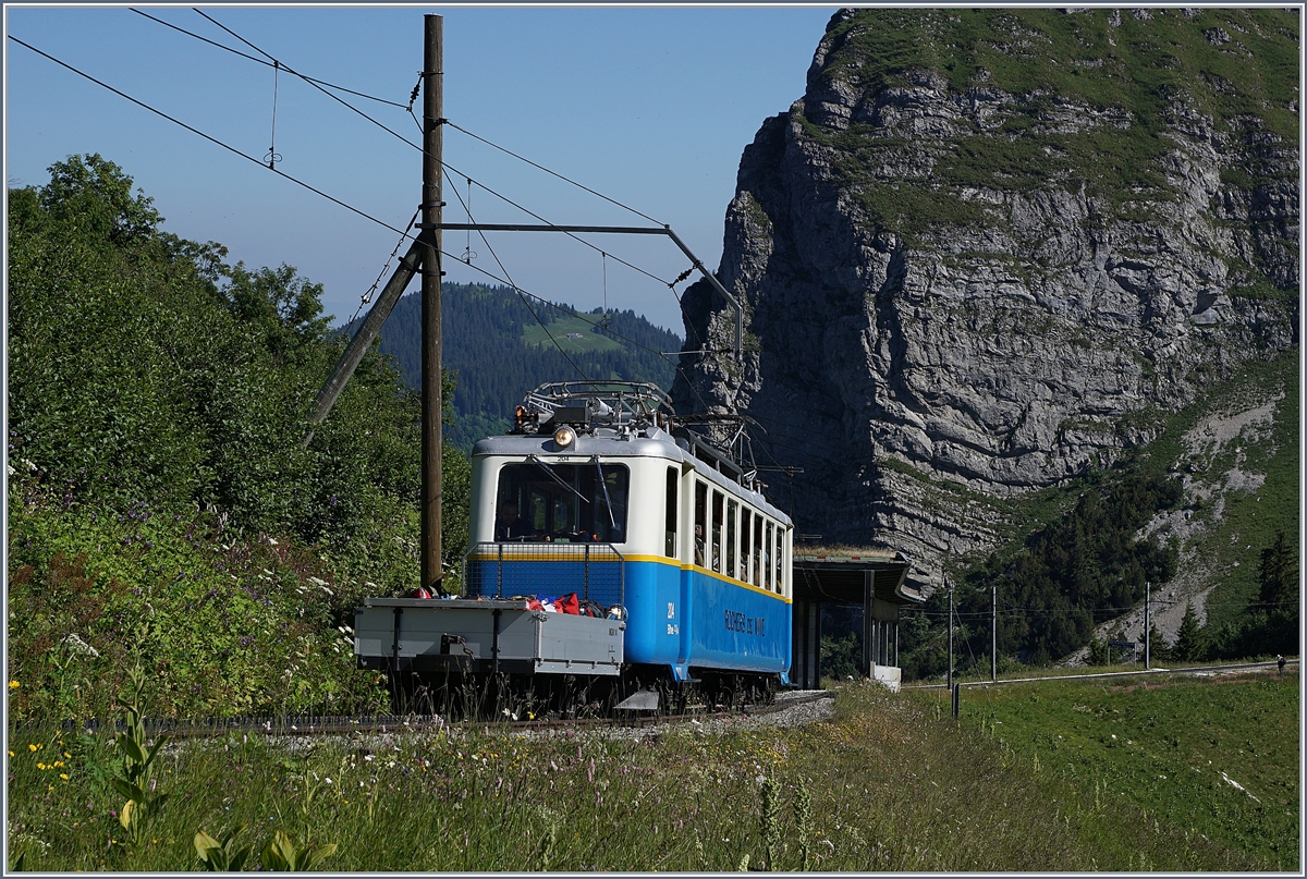 Der Rochers de Naye Bhe 2/4 204 fährt vor der mächtigen und nur teilweise zu sehenne Kulisse des Dent de Jaman Richtung Gipfel.
1. Juli 2018
