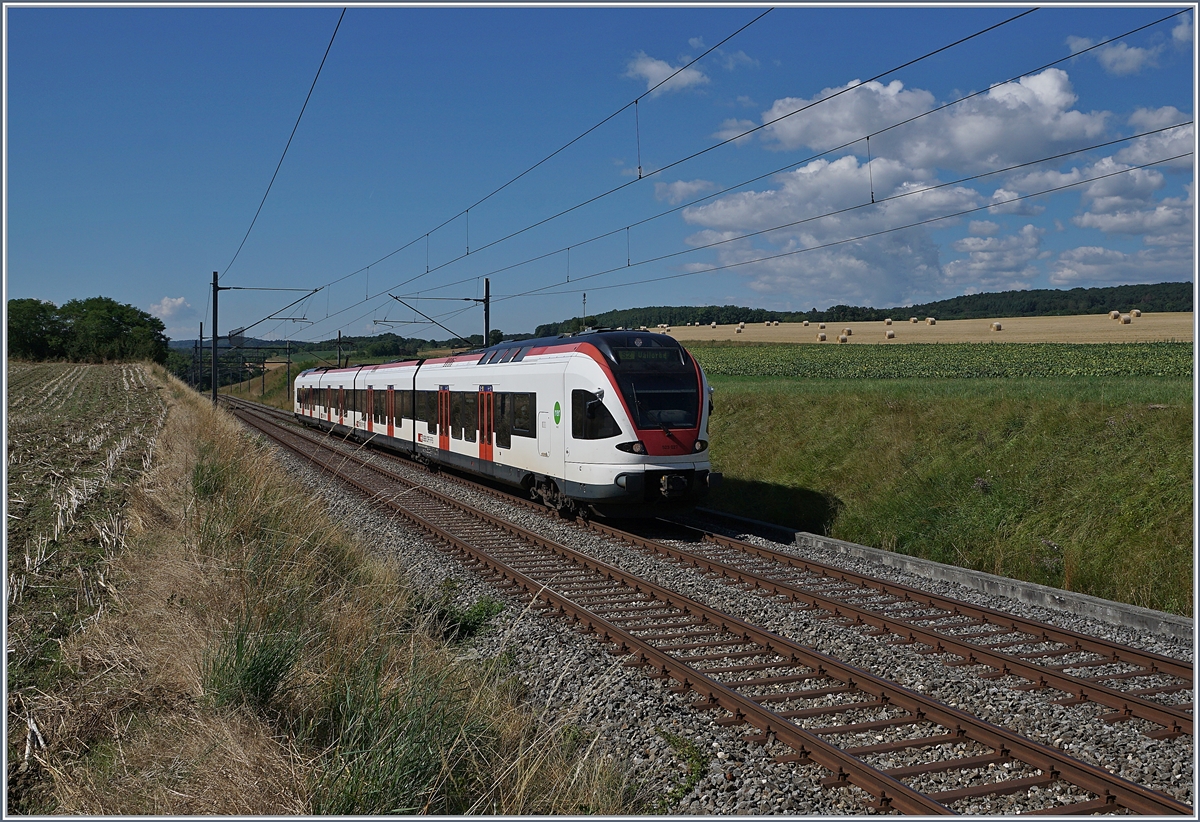Der SBB RABe 523 027 auf der Fahrt nach Vallorbe kurz vor Arnex, in der sanften Jurafusslandschaf.

25. Juli 2020