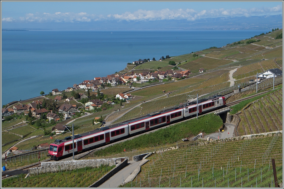 Der Travys Domino RBDe 560 384-0 im Einsatz auf der  Train des Vignes  Linie Vevey - Puidoux-Chexbres bei Chexbres als S31 12064. In der Bildmitte unten am See ist in Rivaz bei genauerem Hinsehn ein Postzug zu entdecken.
6. Mai 2015