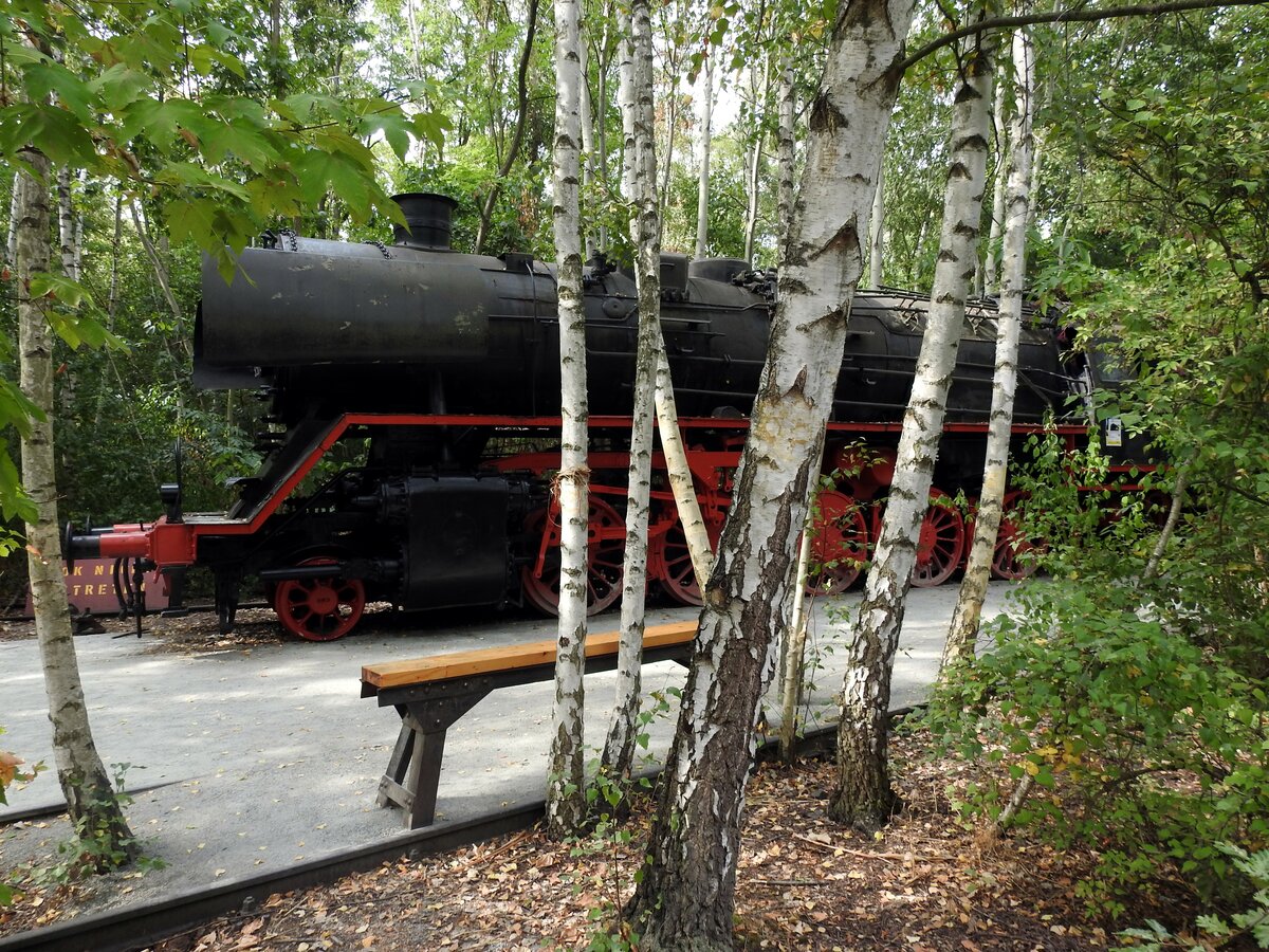 Die 50 3707-2 steht zwischen Bäumen im Naturpark Südgelände in Berlin. Das Naturschutzgebiet war der ehemalige Verschiebebahnhof Tempelhof, am 05.09.2018.
