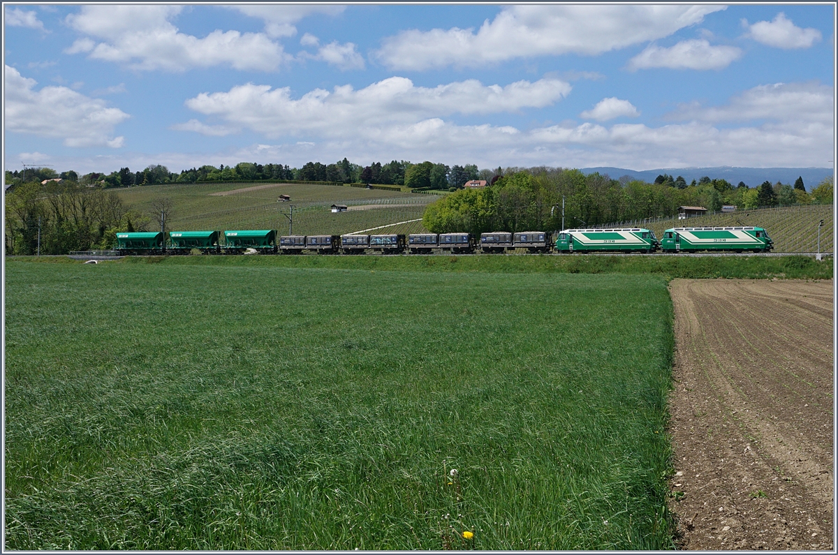 Die beiden BAM MBC Ge 4/4 mit ihrem (leeren) Kieszug zwischen Chigny und Vufflens le Ch�teau.
9 Mai 2017