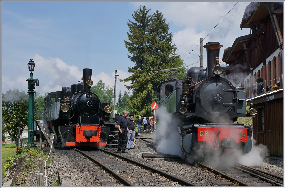 Die Mallet SEG G 2x 2/2 105 und die CP E 164 (von La Traction) in Chaulin.
19. Mai 2018