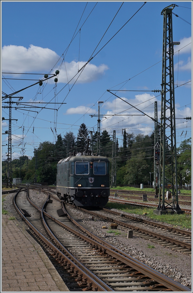 Die mittlerweile recht ber�hmte da letzte gr�ne P Re 4/4 II 11161 in Singen.

19. Sept. 2022 