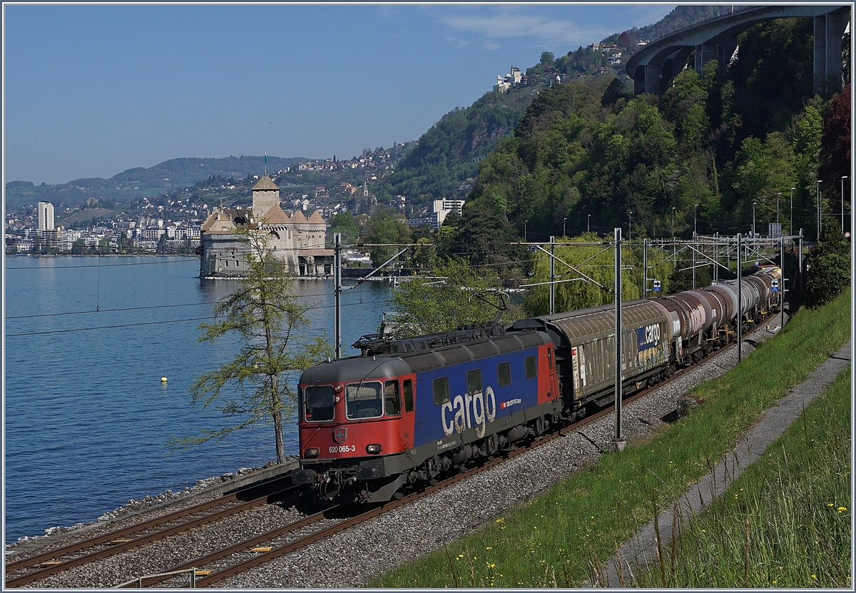 Die SBB Re 6/6 11665 (Re 620 065-3)  Ziegelbrücke  mit einem Güterzug kurz vor Villeneuve; im Hintergrund das Château de Chillon. 

16. April 2020