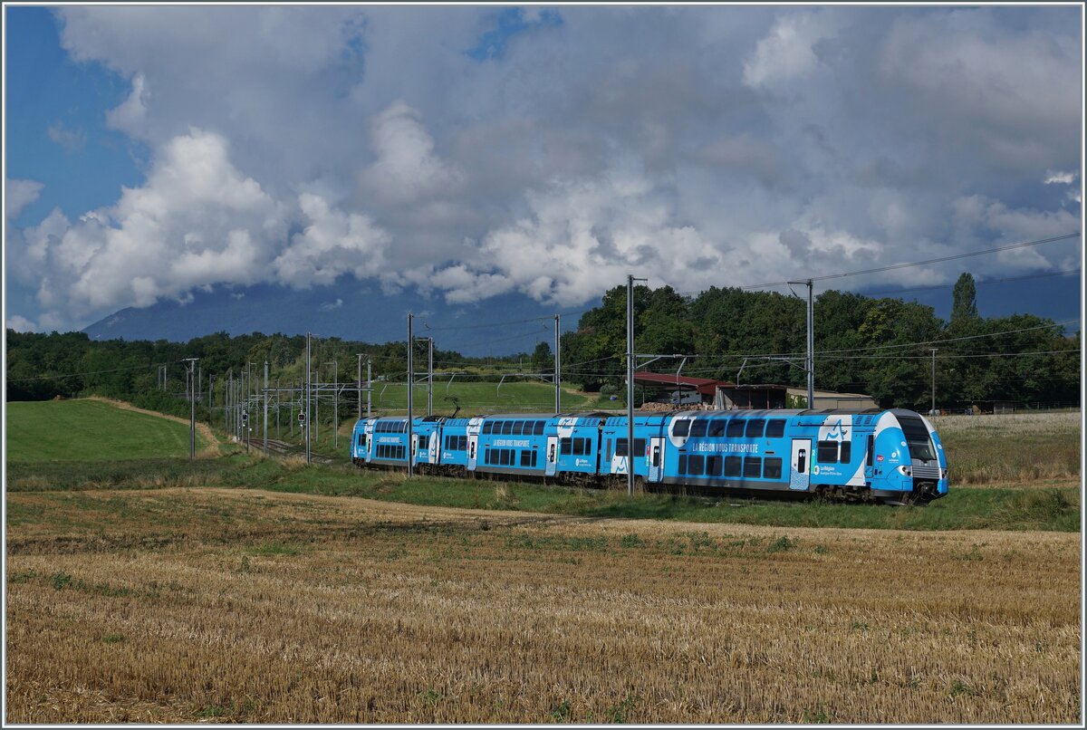 Die schöne, himmelblaue SNCF Computermaus Z 24317 ist kurz nach Satigny auf als TER nach Valence dem Rückweg nach Frankreich. 

2. August 2021