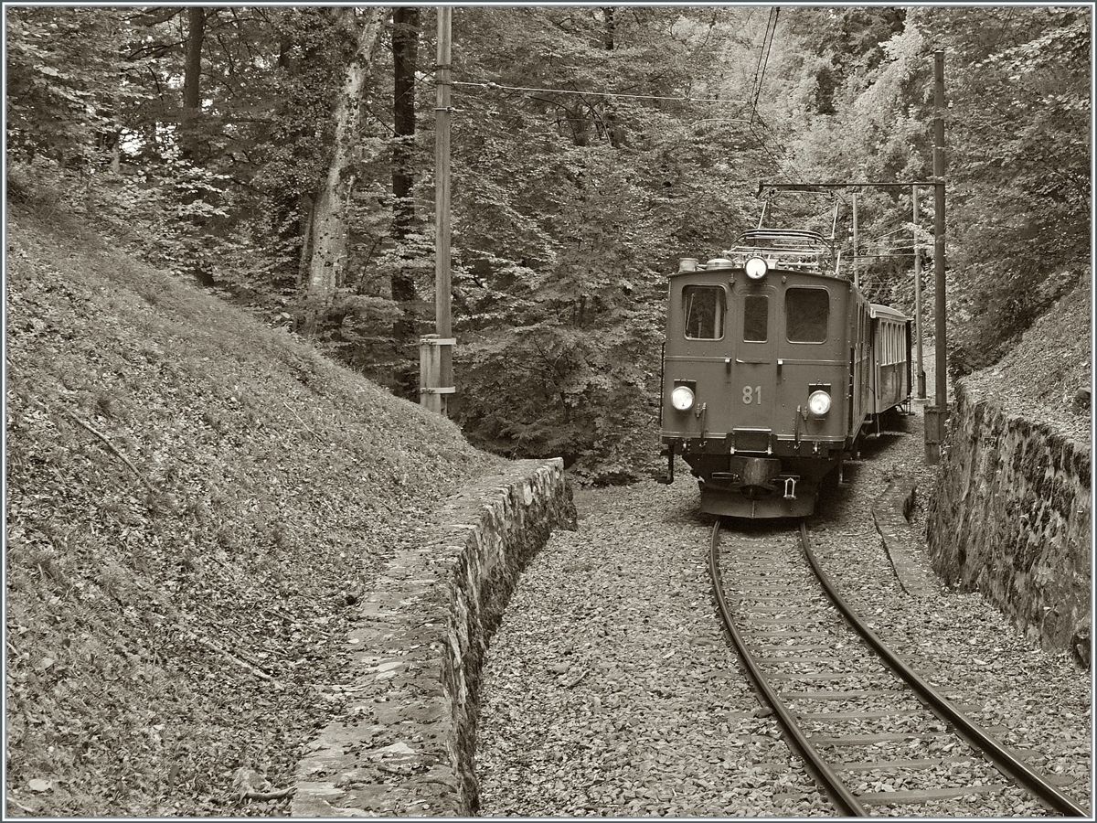 Die Strecke der Blonay-Chamby Bahn ist mit gut drei Kilometer nicht sehr lang, und doch bietet sie unz�hlige Fotomotive, wie z.B hier kurz vor der Baie de Clarens Br�cke im Wald oberhalb von Blonay mit der Bernina Bahn Ge 4/4 81, die mit ihre 16:10 Personenzug auf dem Weg nach Chaulin ist.

11. Oktober 2020