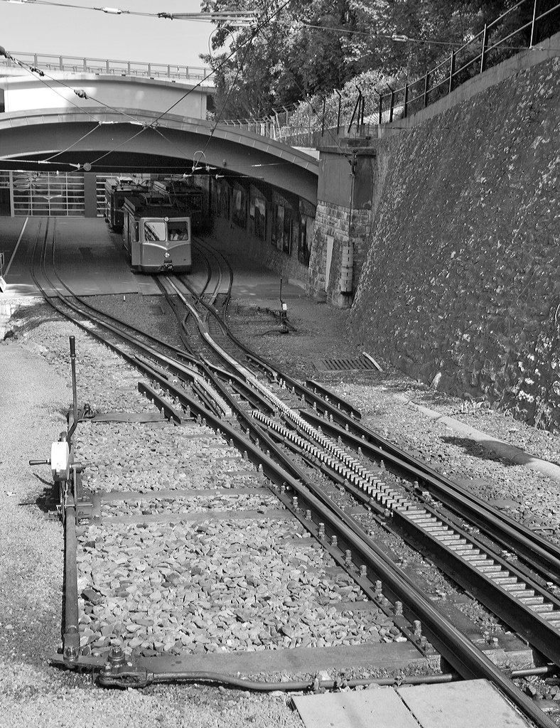 
Die Weichen an der Talstation der Drachenfelsbahn am 06.06.2014 in K�nigswinter. 

Deutlich kann man hier den Unterschied zwischen der Leiterzahnstange (rechts unten im Bild) nach dem Zahnstangensystem ist Riggenbach und der in den Weichen befindlichen Lamellenzahnstange nach dem System von Roll (Heute Tensol Rail SA in Giornico im Tessin). Wie beim System Abt besteht beim System von Roll die Zahnstange aus einem Flachstahl, in den die Z�hne mit der Verzahnungsgeometrie vom System Riggenbach (oder Strub) ein gefr�st werden. 

Nur durch den Einsatz der von Roll Zahnstange sind diese Weichen so einfach machbar, bei der Verwendung von der Leiterzahnstange nach Riggenbach w�ren sie nur als Schiebeweichen m�glich, bei denen ein Gleisabschnitt verschoben wird.                   

