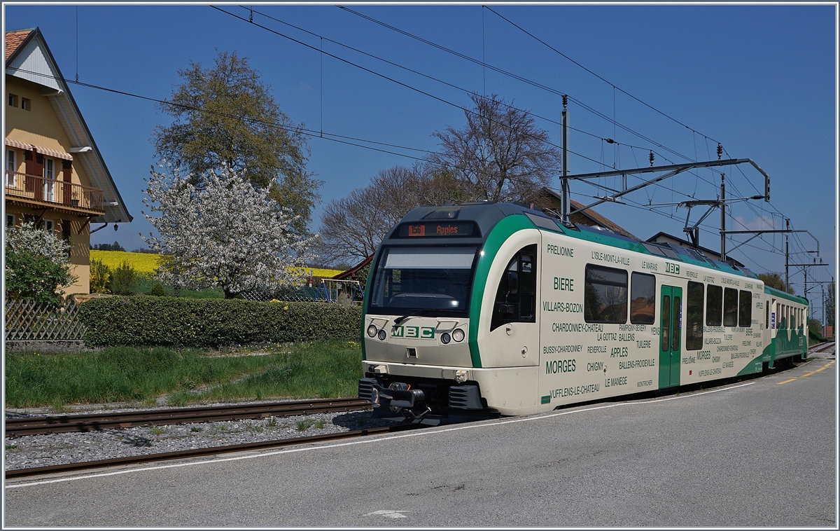 Ein  Bahnsteigbild  mit Frühlingsambiente: der BAM MBC Be 4/4 35 mit Bt 54 erreicht Apples.
11. April 2017