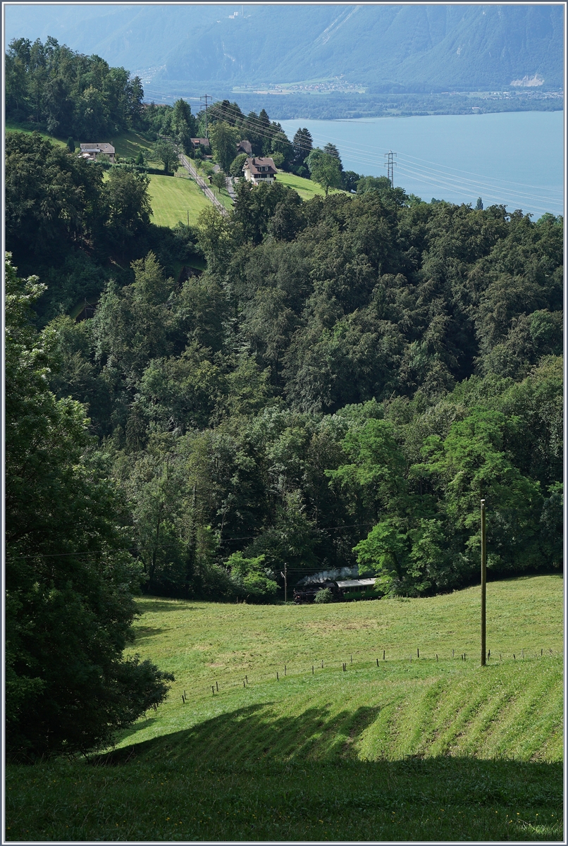 Ein Bahnsuchbild, welches eher dazu dient die Streckenführung der Blonay-Chamby Bahn zu zeigen.
1. August 2016