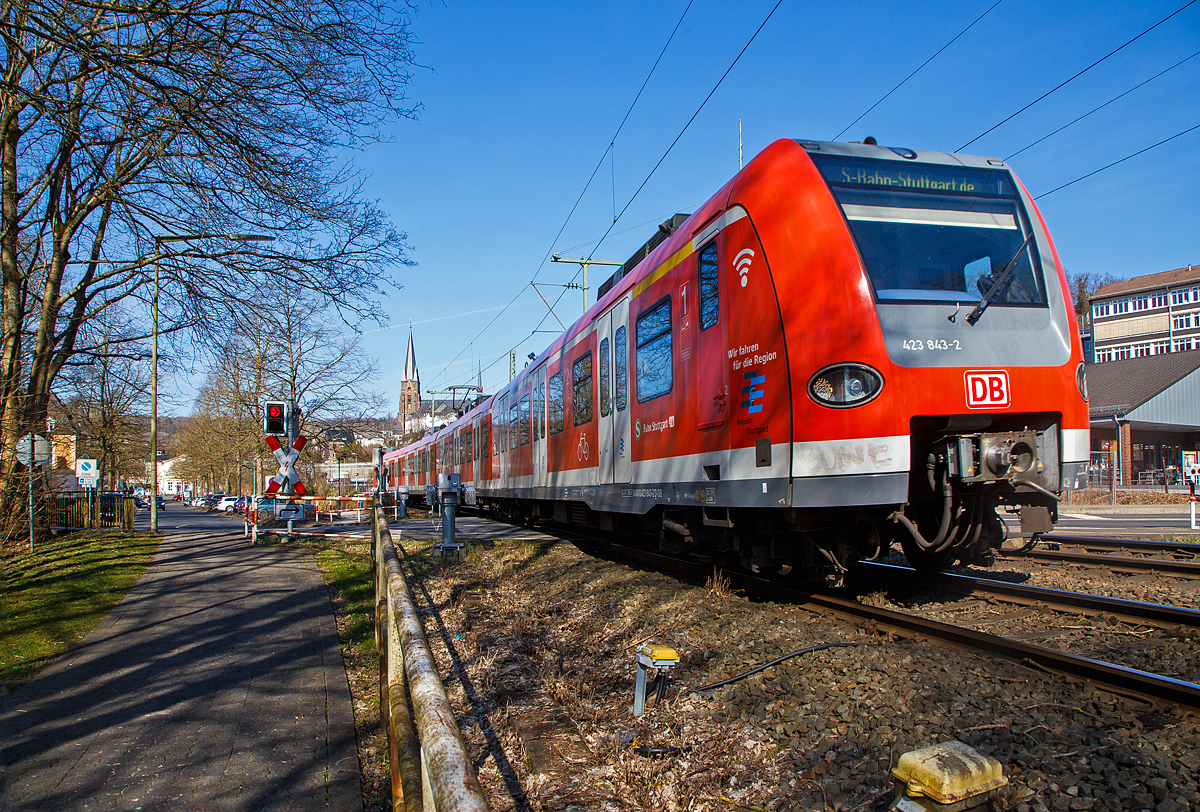Ein ET 423 der S-Bahn Stuttgart auf Abwegen.....
Der vierteilige Elektrotriebzug 423 843-2 / 433 843-0 / 433 343-1 / 423 343-3 ein „Kurzzug“ der Baureihe 423 (3. Bauserie) der S-Bahn Stuttgart f�hrt am 11.03.2022 durch Kirchen (Sieg) in Richtung K�ln.

Nochmal einen lieben Gru� an den netten Tf zur�ck.

Die Triebz�ge der Baureihe 423/433 sind S-Bahn-Triebz�ge, die seit 1998 den Vorg�nger DB-Baureihe 420 abl�sen. Die Fahrzeuge wurden urspr�nglich f�r die S-Bahn M�nchen konzipiert, kommen aber auch bei der S-Bahn K�ln, der S-Bahn Stuttgart und der S-Bahn Rhein-Main zum Einsatz. Mit Baureihe 423 werden die beiden angetriebenen Endwagen bezeichnet, w�hrend die ebenfalls angetriebenen Mittelwagen in die Baureihe 433 eingeordnet werden. Gebaut wurden die Triebz�ge von einem Konsortium bestehend aus Adtranz, Alstom LHB, ABB und Bombardier. Dieser Triebzug wurde 2003 von Alstom LHB in Salzgitter-Watenstedt unter den Fabriknummern 423.5-343, 433.5-343, 433.0-343 und 423.0-343.

Die vierteiligen Triebz�ge der Baureihe 423 sind 67,40 Meter lang, sie laufen auf zwei Endtriebdrehgestellen und drei Jakobs-Drehgestellen (2 als Trieb- und in der Mitte ein al Laufdrehgestell. Der Triebzug ist f�r den S-Bahn-Betrieb konzipiert und besitzt daher kein WC. Als Leichtbaufahrzeug besteht er gr��tenteils aus Aluminium. Als Antrieb wird hier Drehstromtechnik mit Bremsstromr�ckspeisung eingesetzt, die Leistung betr�gt 2.350 Kilowatt. Die zul�ssige H�chstgeschwindigkeit des Triebzugs betr�gt 140 km/h.

Ein „Kurzzug“ der Baureihe 423 besteht dabei aus vier Wagen:
Endtriebwagen (ETW) 1: 423 001 – 462
Mitteltriebwagen (MTW) 2: 433 001 – 462
Mitteltriebwagen (MTW) 3: 433 501 – 962
Endtriebwagen (ETW) 4: 423 501 – 962

Die Ordnungsnummern der einzelnen Wagen beruhen dabei im Lieferzustand stets auf dem gleichen Schema, die vorderen beiden Wagen haben die gleiche Ordnungsnummer, w�hrend die hinteren beiden Wagen die um 500 erh�hte Ordnungsnummer tragen.

Zwei Kurzz�ge bilden einen „Vollzug“, drei Kurzz�ge bilden einen „Langzug“.

Die Triebz�ge werden von acht vierpoligen, wassergek�hlten Drehstrom-Asynchron-Fahrmotoren mit einer Gesamtleistung von 2.350 Kilowatt angetrieben. Die beiden Traktionsanlagen der Z�ge, die �ber einen gemeinsamen Stromabnehmer mit Energie versorgt werden, sind weitgehend voneinander unabh�ngig.

Die Z�ge verf�gen �ber eine Notbrems�berbr�ckung. Betriebsbremsungen erfolgen �ber elektrodynamische Bremsen. Von den 16 Bremszylindern der elektropneumatischen Bremse sind sechs mit einem Federspeicher ausger�stet.

TECHNISCHE DATEN:
Gebaute Einheiten: 462
Spurweite: 1.435 mm (Normalspur)
Achsformel: Bo’(Bo’) (2’) (Bo’) Bo’ (in Klammern Jakobs-Drehgestellen)
L�nge �ber Kupplung: 67.400 mm 
Drehzapfenabst�nde: 15.140 mm (Endwagen) / 15.460 mm (Mittelwagen)
Achsabstand im End-Drehgestell:  2.200 mm 
Achsabstand im Jakobs-Drehgestell: 2.700 mm
Treib- und Laufraddurchmesser: 850 mm (neu) / 780 mm (abgenutzt)
Leergewicht: 105,1 t
H�chstgeschwindigkeit: 140 km/h 
Leistung: 8 x 293,75 = 2.350 kW
Beschleunigung: 1,0 m/s�
Bremsverz�gerung: 0,9 m/s�
Motorentyp: Drehstrom-Asynchron  vom Typ  4 WIA 3558 G
Anzahl der Fahrmotoren: 8
Kupplungstyp: Scharfenbergkupplung Typ 10
Sitzpl�tze: 192
Fu�bodenh�he: 1.025 mm (Einstiegsh�he von 995 mm)