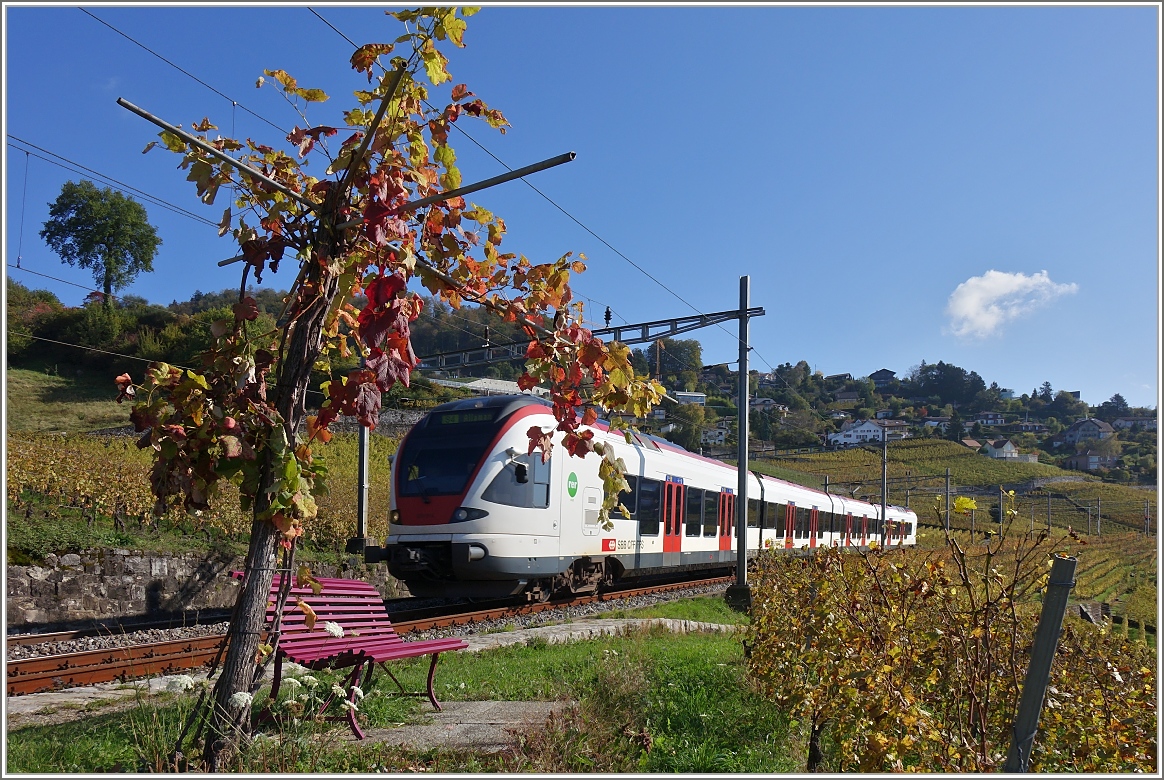 Ein Flirt im herbstlichen Lavaux.
(23.10.2014)