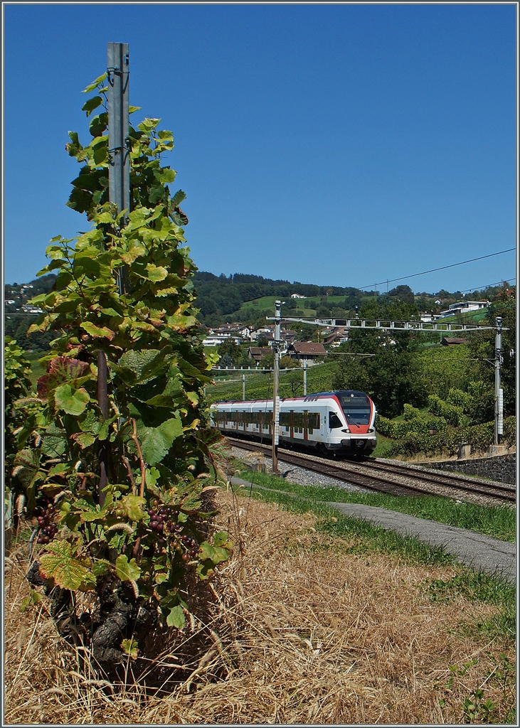 Ein Flirt im schon leicht herbstlichen Lauvaux bei Bossière.
2. Sept. 2014