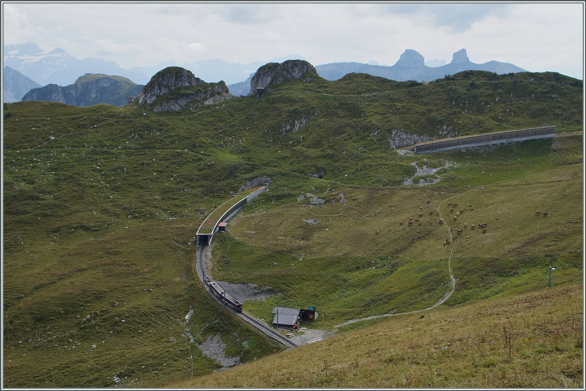 Ein Rochers de Naye Beh 4/8 kurz nach der Gipfelstation Rochers de Naye. 
4. Sept. 2014