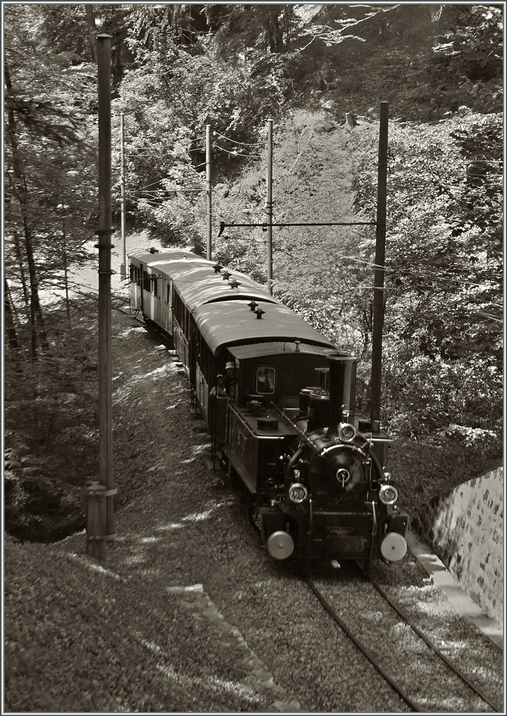 Ein Zug der Blonay Chamby Bahn dampft Chaulin entgegen.
9. Juni 2014