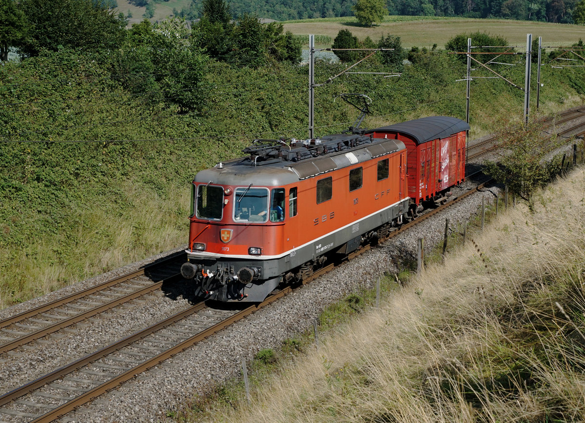 Erste historische Re 4/4 II auserkoren.
Dabei handelt es sich um die Re 4/4 II 11173 ohne Klimaanlage.
Der neue Besitzer ist der Verein Depot und Schienenfahrzeuge Koblenz (dsf).
Erstmals im Dienste des dsf brachte die Re 4/4 II 11173 das Cargo Stübli 21 85 CH - DSF 137 3 080-2 Gms via Wangen an der Aare, zwecks Umfahrung, in die Klus bei Balsthal.
Diese Aufnahmen entstand am Morgen des 15. August 2020 bei Niederbipp.
Foto: Walter Ruetsch
