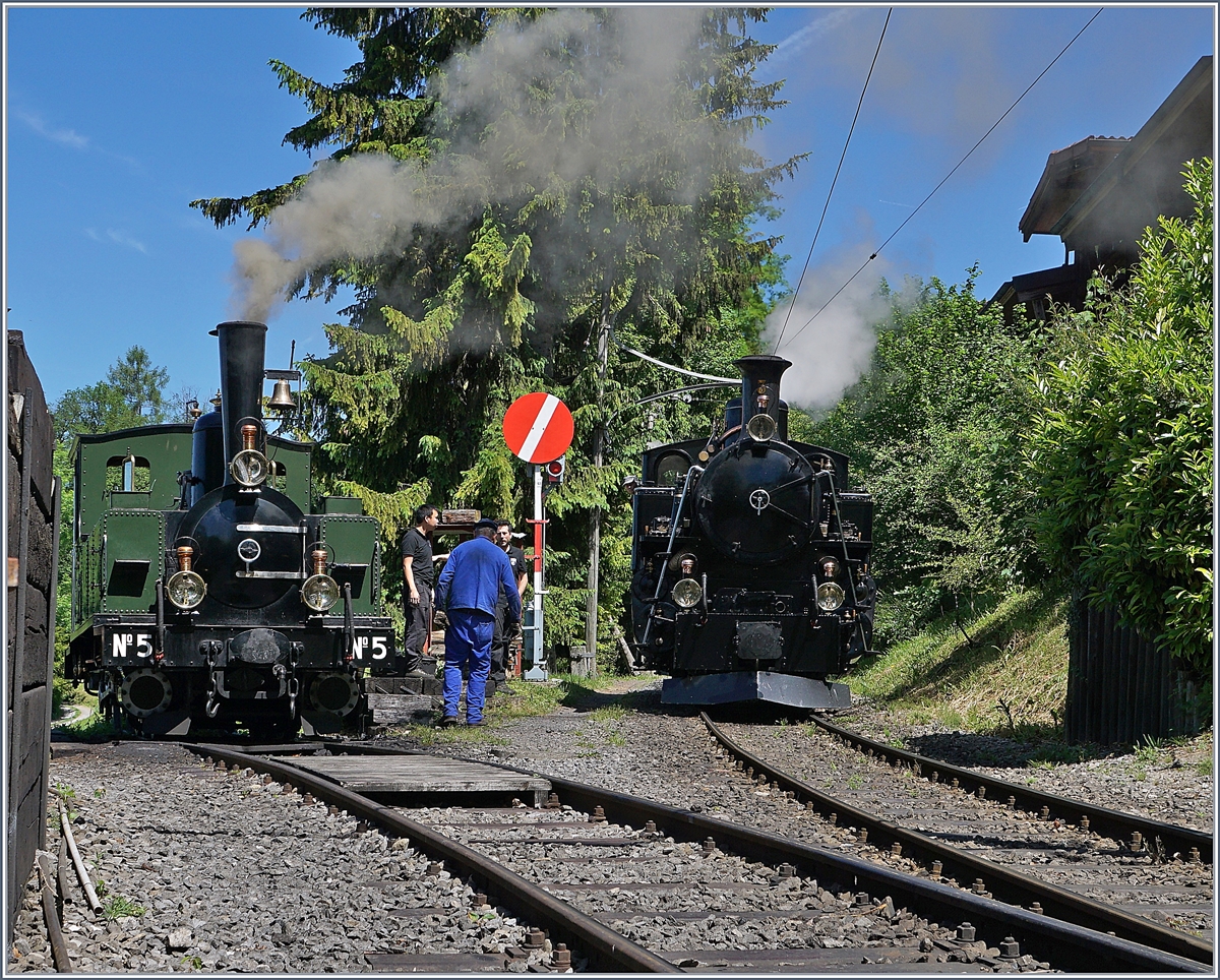 Es dampfte wieder einmal herrlich, als die B-C zu ihrem traditionellen Pfingstfestival einlud. Dieses Jahr fand es unter dem Titel Schweiz Dampf Festival 2019 statt, wobei ich mich aber auch über die vielen gezeigten E-Loks und Triebwagen freute.

Im Bild: die LEB G 3/3 N° 5 und die BFD HGe 3/4 N° 3 in Chaulin.  

8. Juni 2019