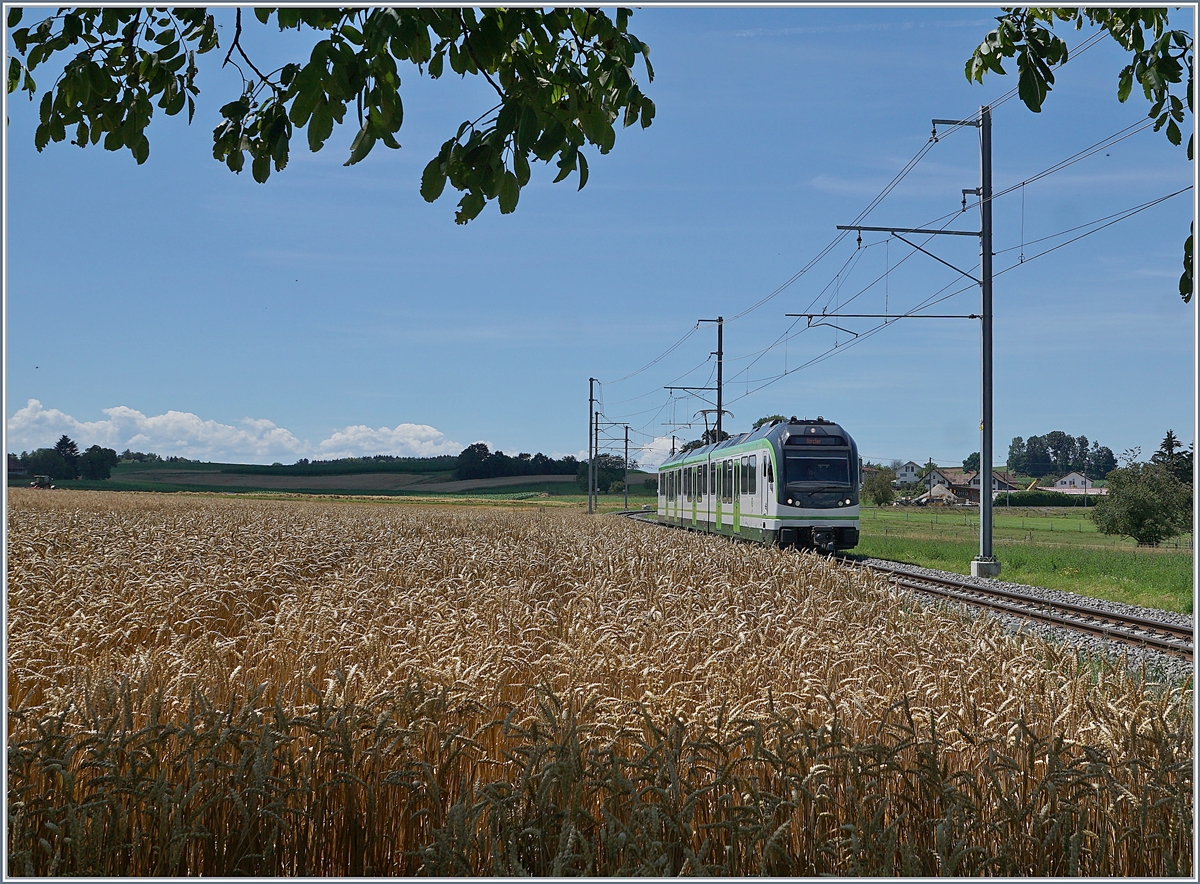 Es geht auch ohne Fotowolke: Von einem schattigen Plätzchen im Schutze eines Baumes konnte ich im  Gros-de-Vaud , der Kornkammer des Kantons, den LEB Be 4/4 64, unterwegs als Regionalzug 131 von Lausanne Flon nach Bercher kurz nach Fey fotografieren.

25. Juli 2020